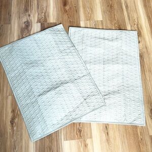 Set of Two Restoration Hardware Silk Pillow